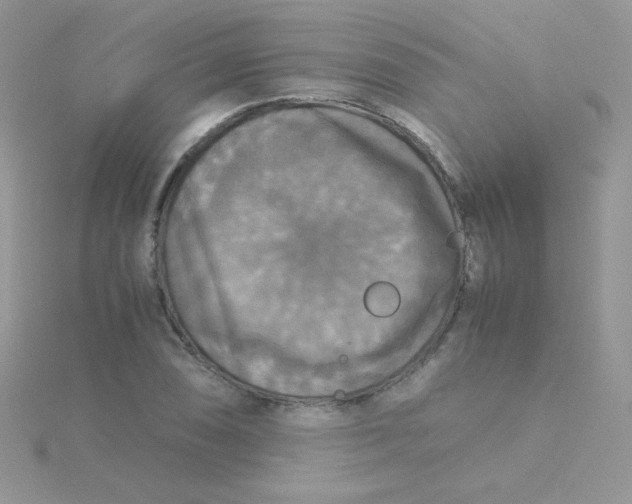 X0000115311074200911231324