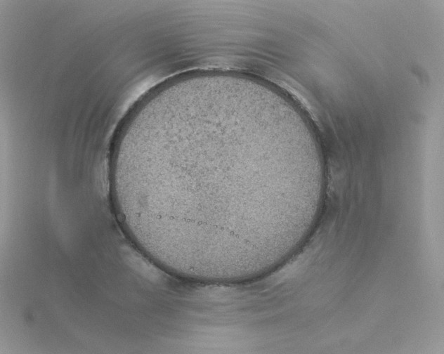 X0000115311075200911231324