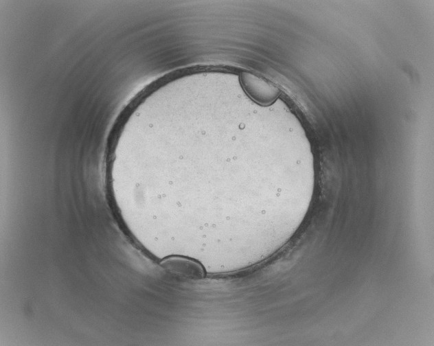 X0000115311076200911231324