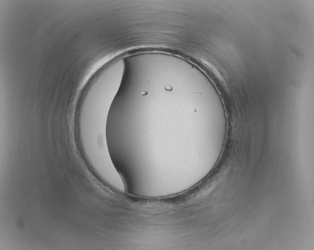 X0000115311077200911231324