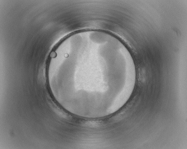 X0000115311078200911231324