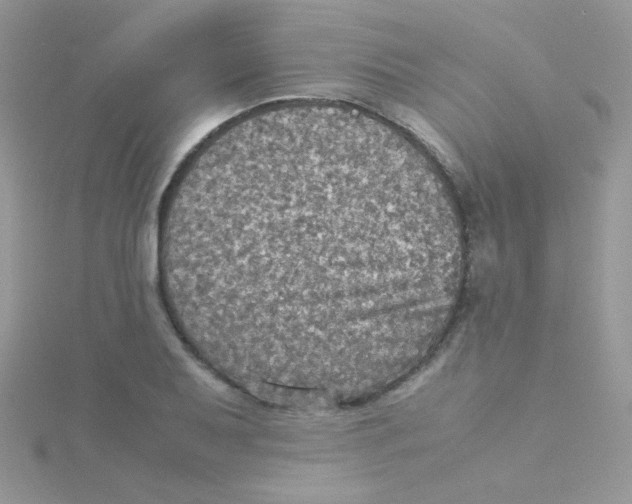 X0000115311079200911231324