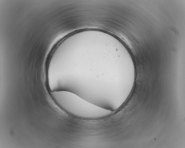 X0000115311080200911231324