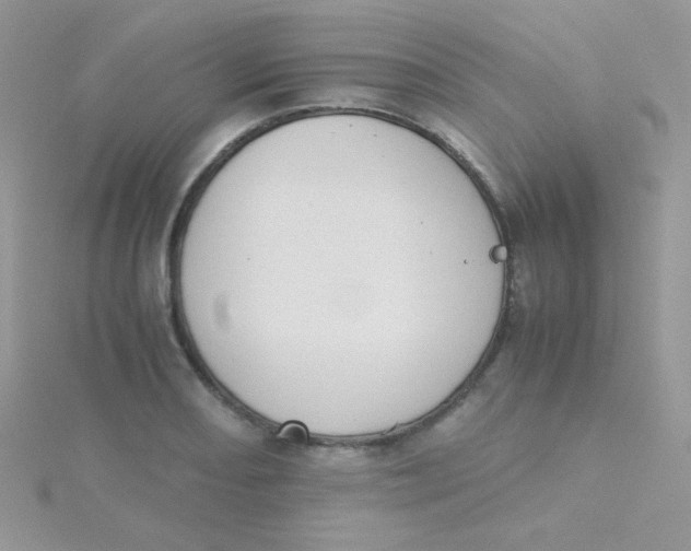 X0000115311082200911231324