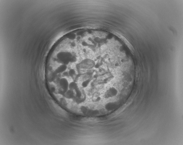 X0000115311083200911231324