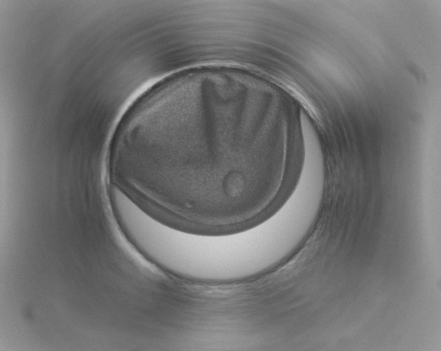 X0000115311084200911231324