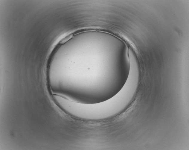 X0000115311085200911231324