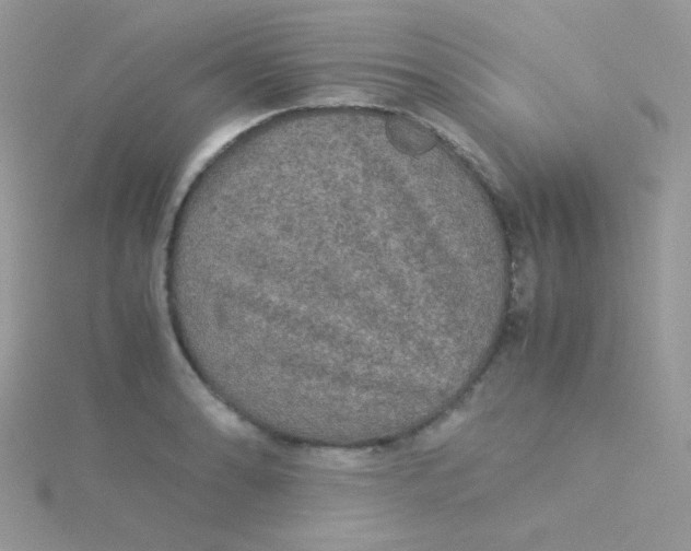 X0000115311086200911231324