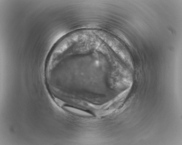 X0000115311087200911231324