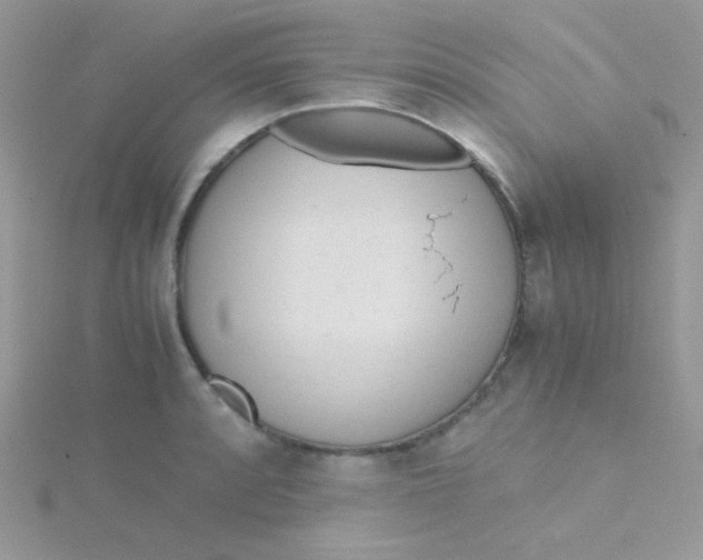 X0000115311088200911231324