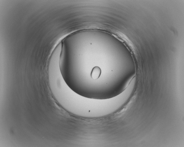 X0000115311089200911231324