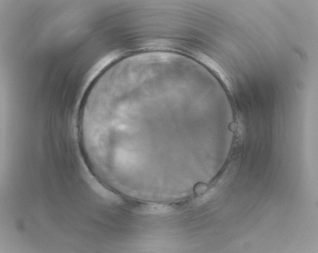 X0000115311090200911231324