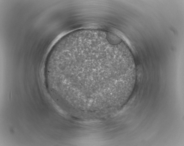 X0000115311091200911231324