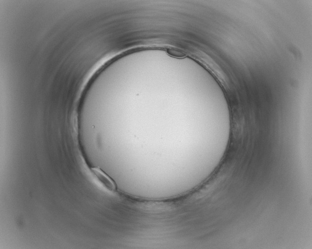 X0000115311092200911231324