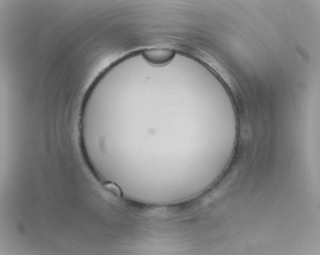 X0000115311093200911231324