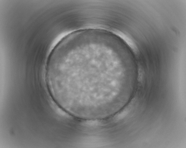 X0000115311094200911231324