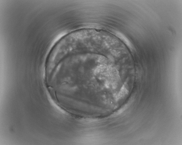 X0000115311095200911231324