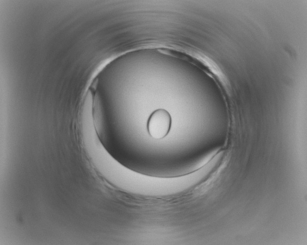 X0000115311097200911231324