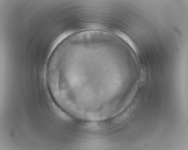 X0000115311098200911231324