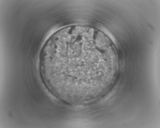 X0000115311099200911231324