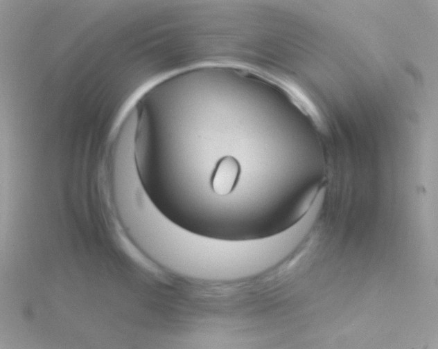 X0000115311100200911231324