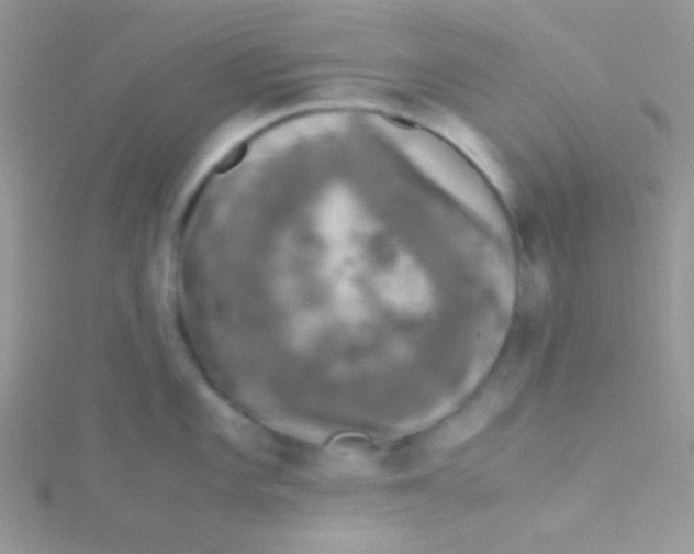 X0000115311101200911231324