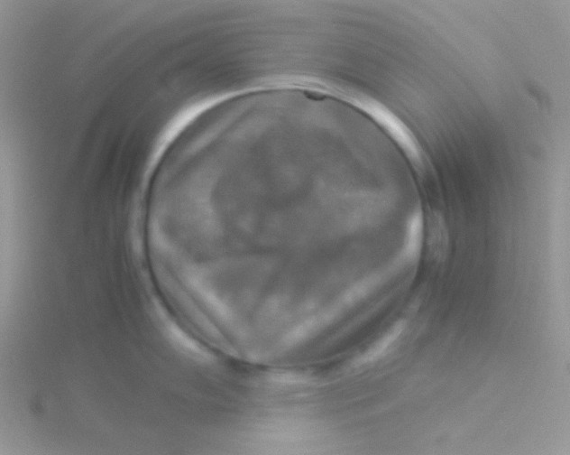 X0000115311102200911231324