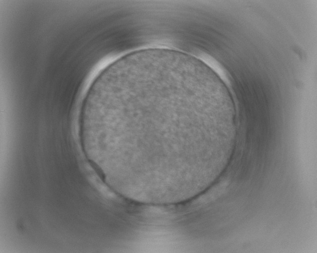 X0000115311104200911231324