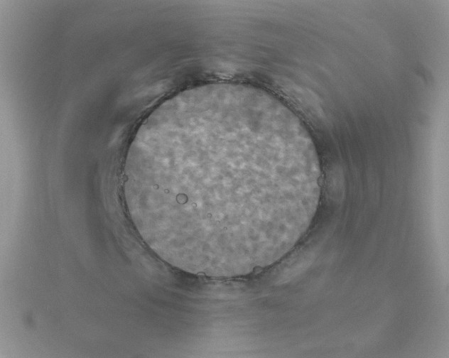 X0000115311105200911231323