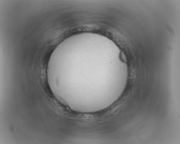 X0000115311109200911231323