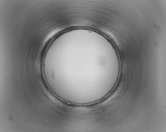 X0000115311114200911231323