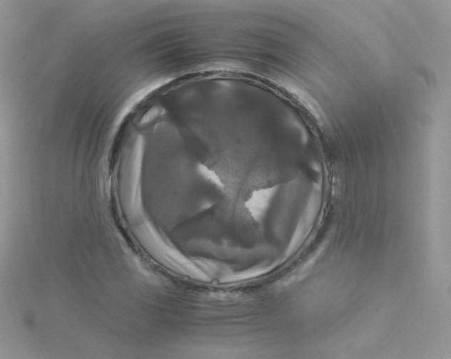 X0000115311117200911231324