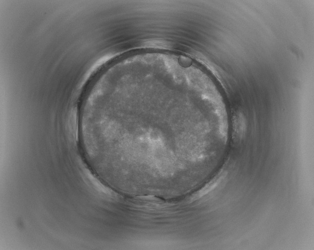 X0000115311123200911231324