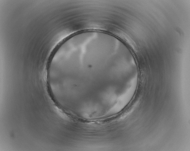 X0000115311125200911231324