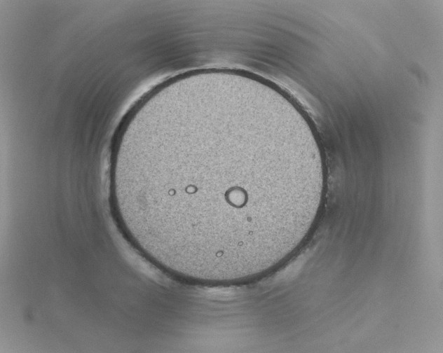 X0000115311126200911231324