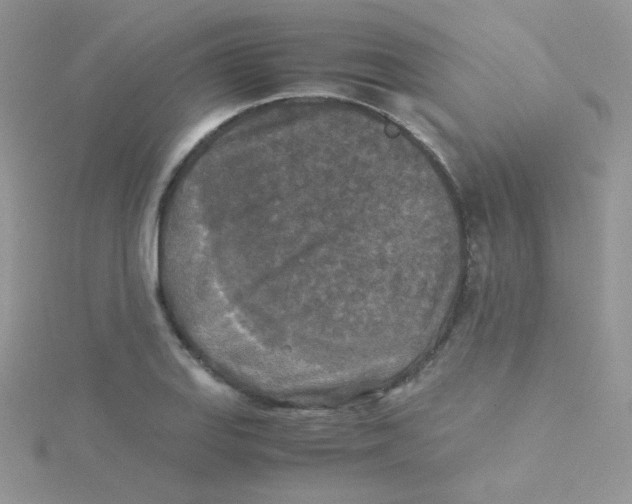 X0000115311127200911231324