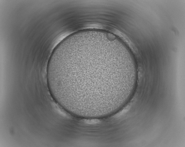 X0000115311129200911231324