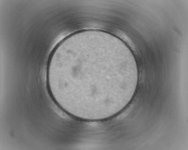 X0000115311130200911231324