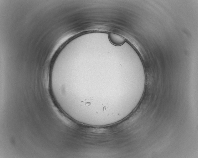 X0000115311131200911231324