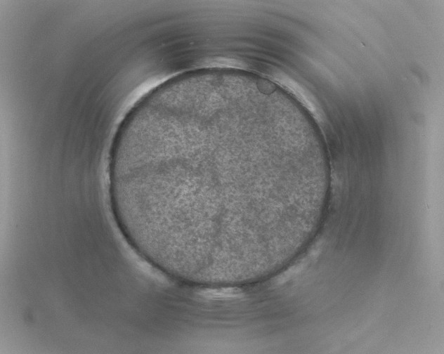 X0000115311133200911231324