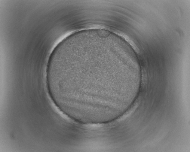 X0000115311134200911231324