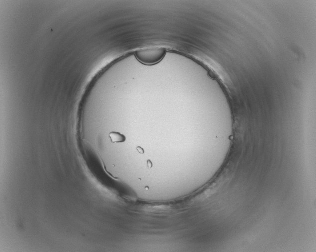 X0000115311135200911231324