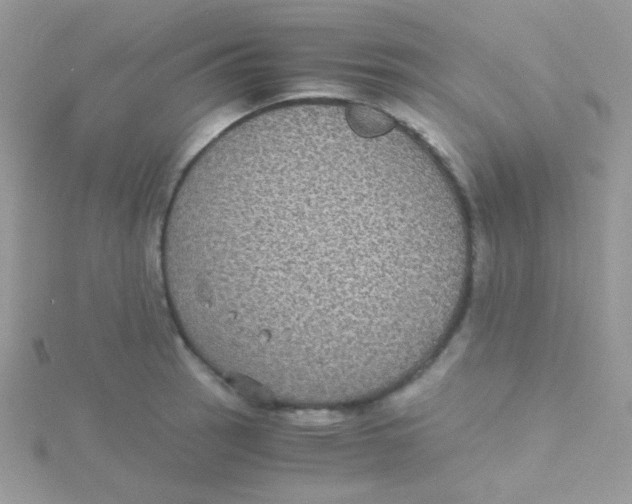 X0000115311137200911231324