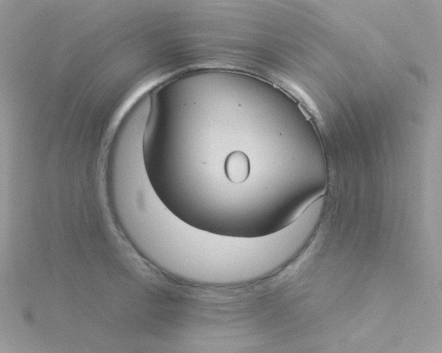 X0000115311138200911231324