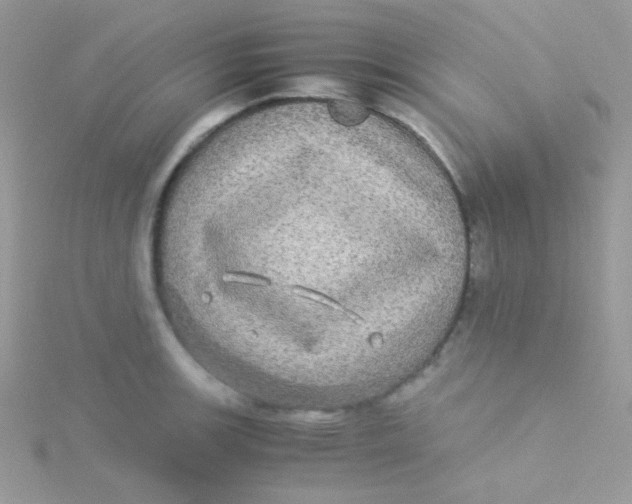 X0000115311139200911231324