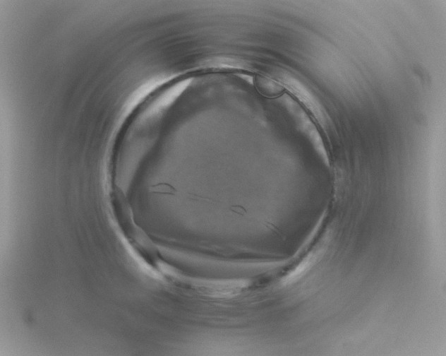 X0000115311141200911231324