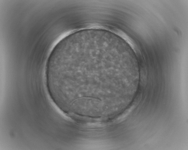 X0000115311142200911231324