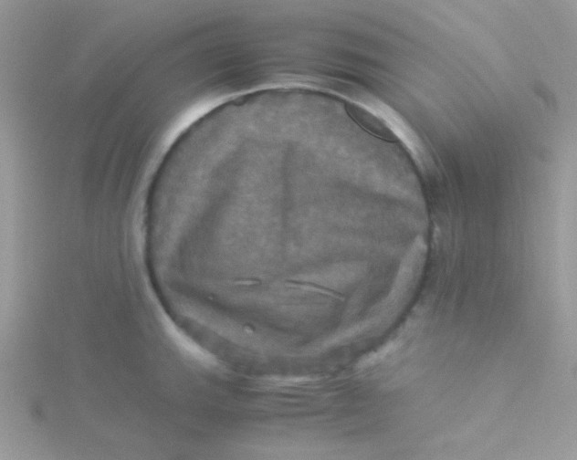 X0000115311143200911231324