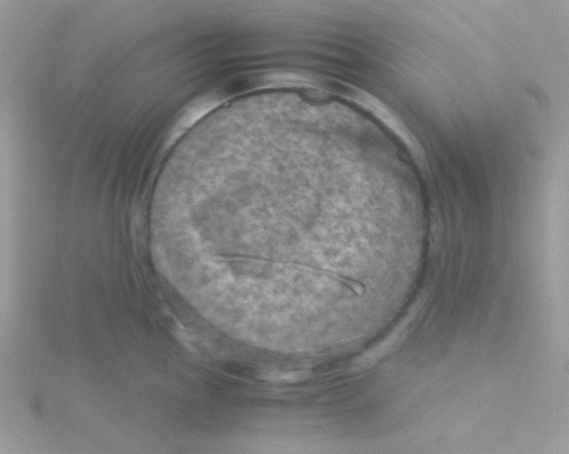 X0000115311145200911231324