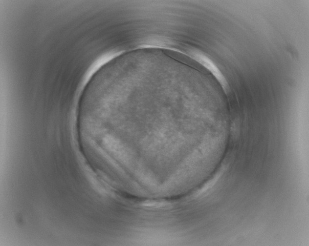 X0000115311146200911231324